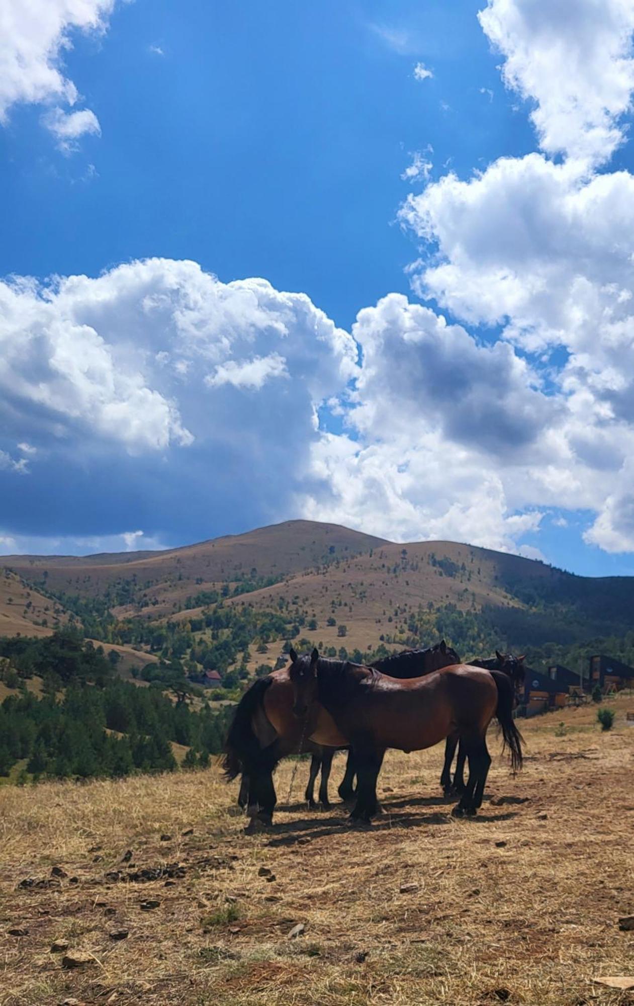 Huut Villa Zlatibor Eksteriør bilde