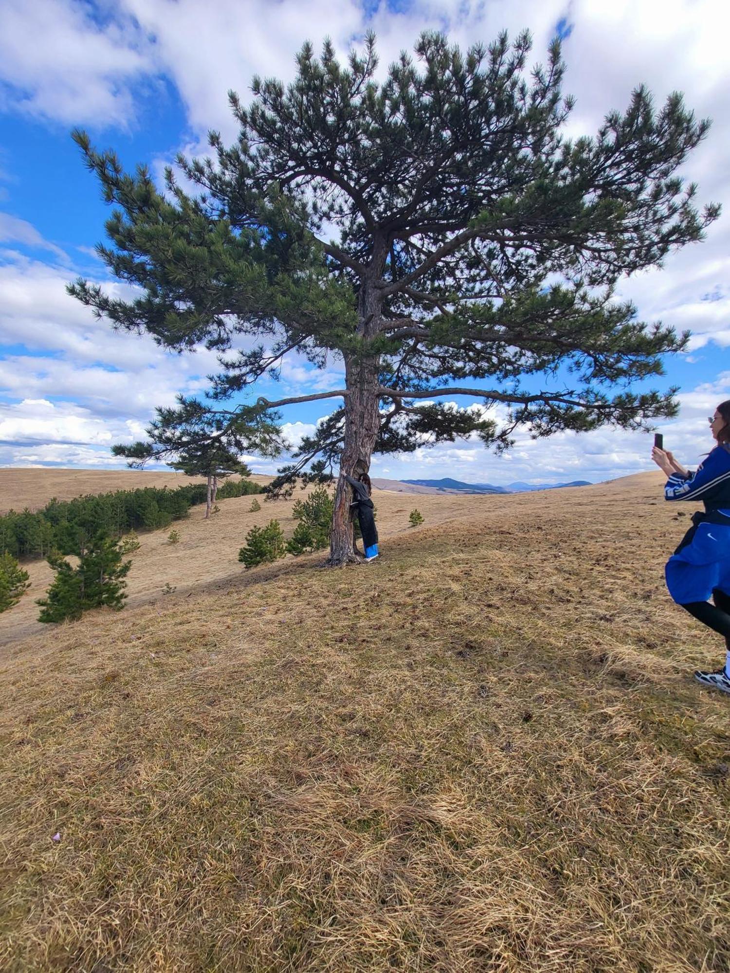 Huut Villa Zlatibor Eksteriør bilde